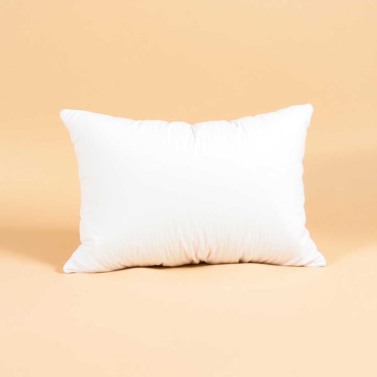 Cloud Down Pillow